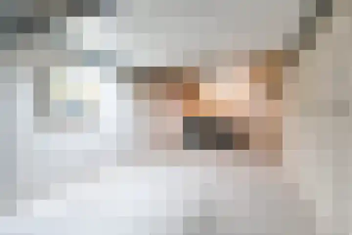 Tasveld 43 Veldhoven thumbnail 33