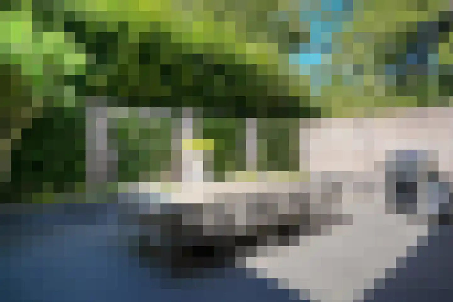 Taterhof 10 Vught thumbnail 40