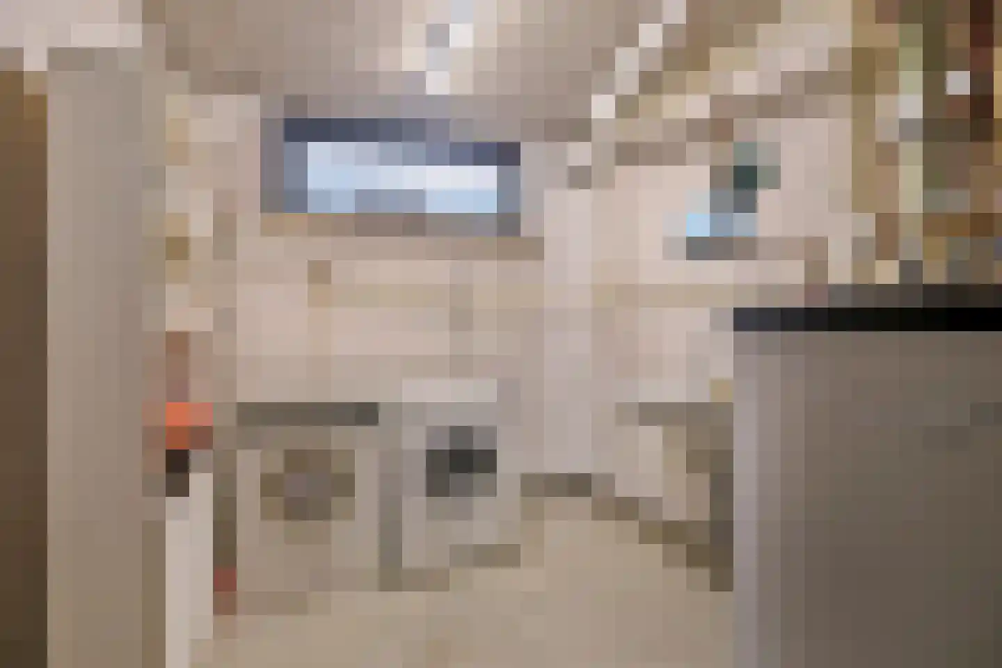 Tatralaan 11 Venray thumbnail 35