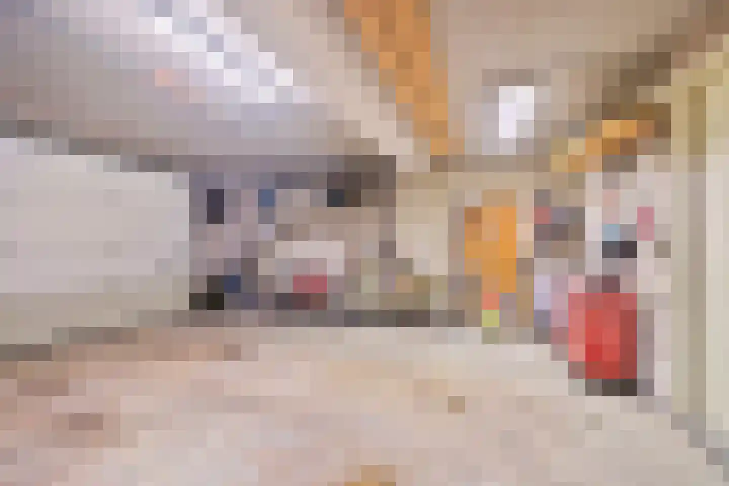 Tatralaan 11 Venray thumbnail 39