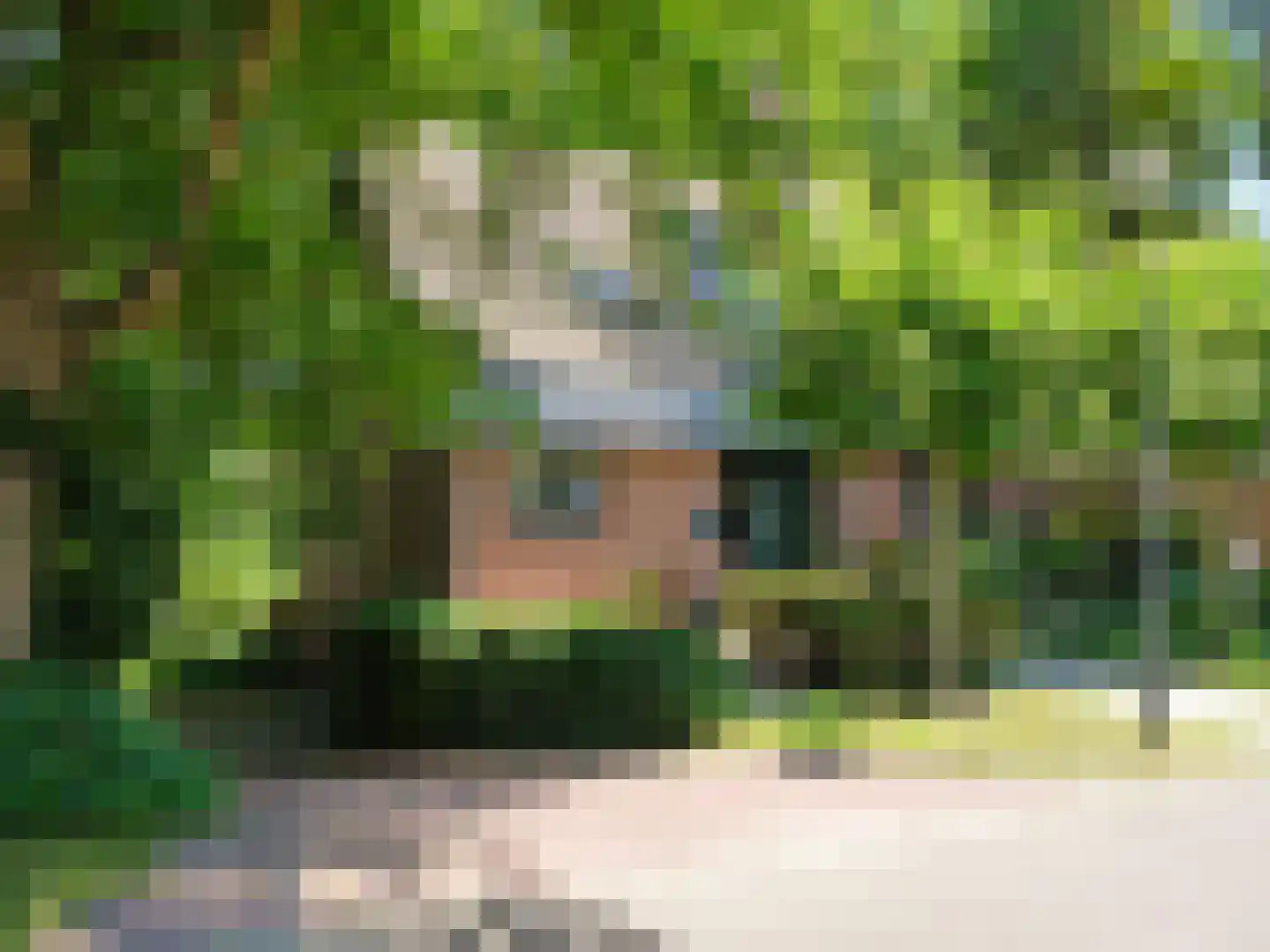 Tatralaan 11 Venray thumbnail 4