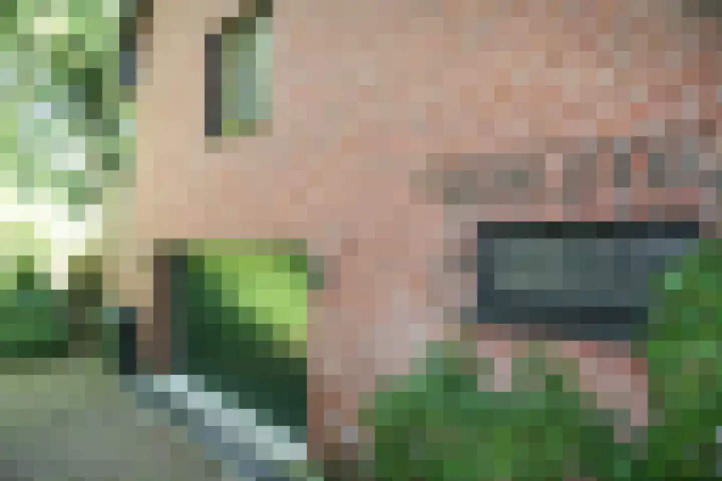 Tatralaan 11 Venray thumbnail 41