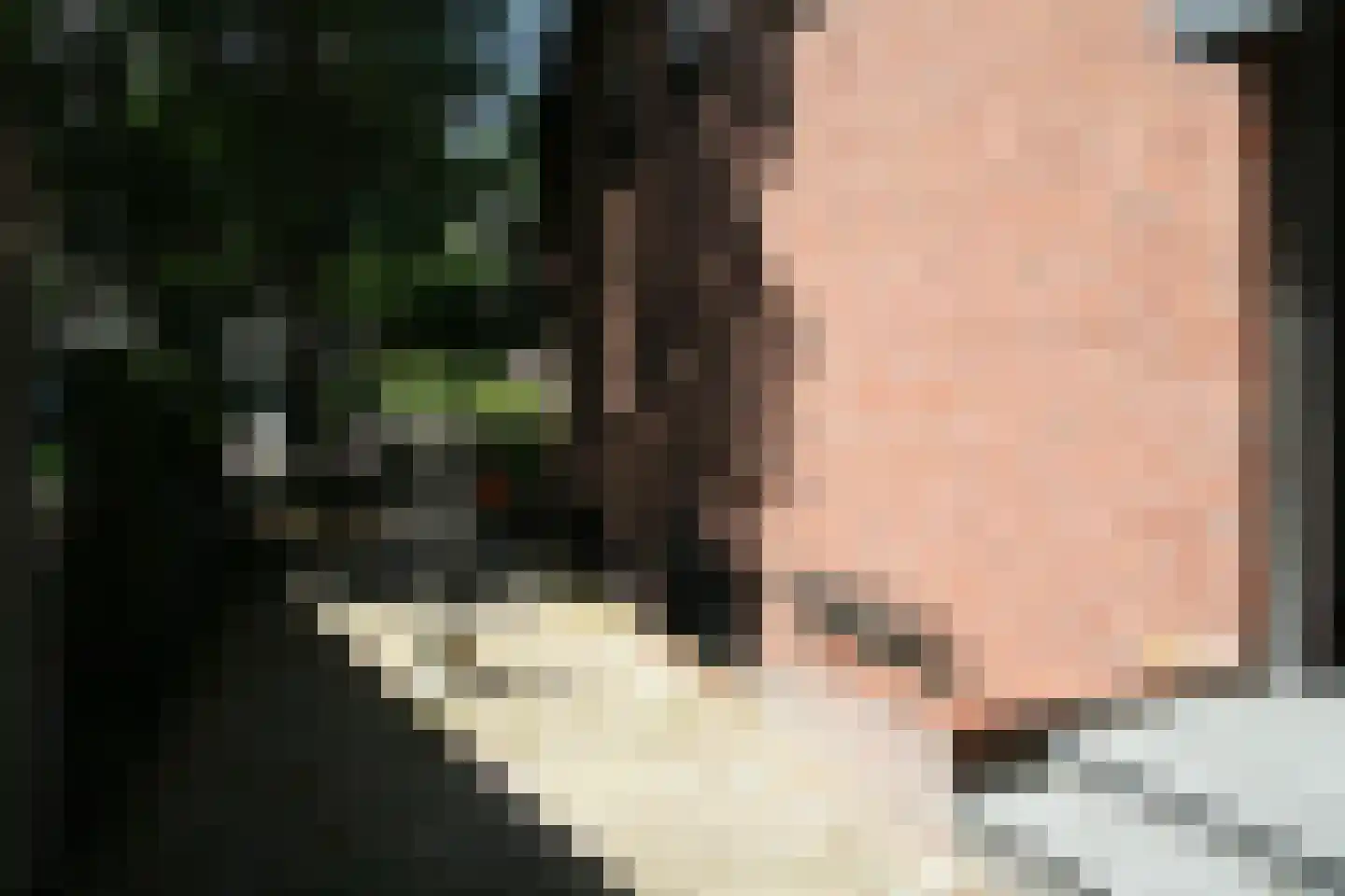 Tatralaan 11 Venray thumbnail 42