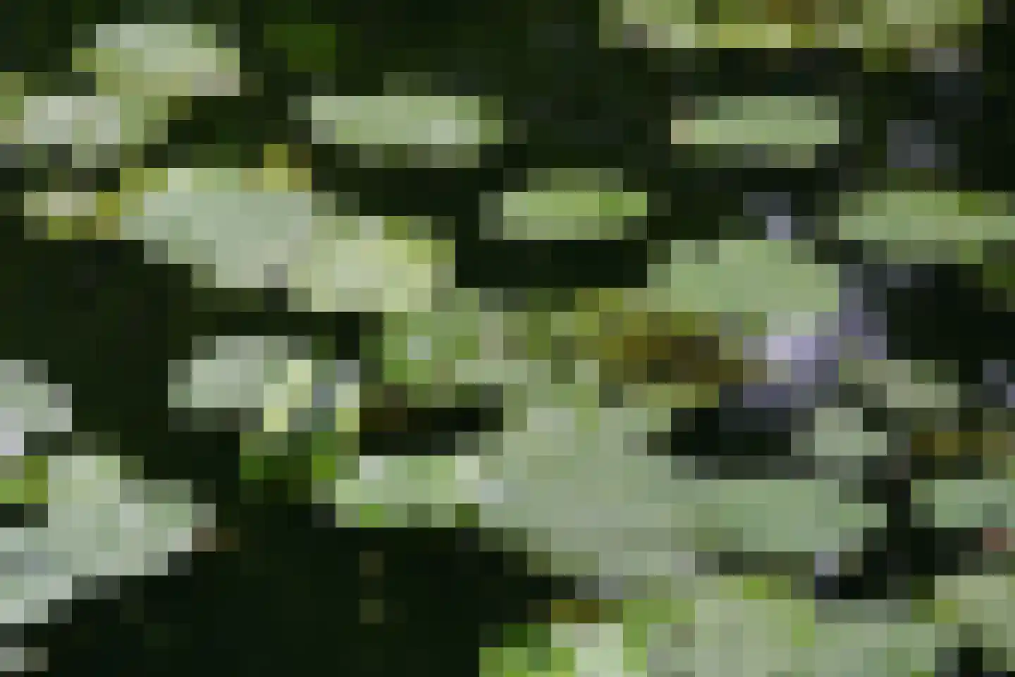 Tatralaan 11 Venray thumbnail 45