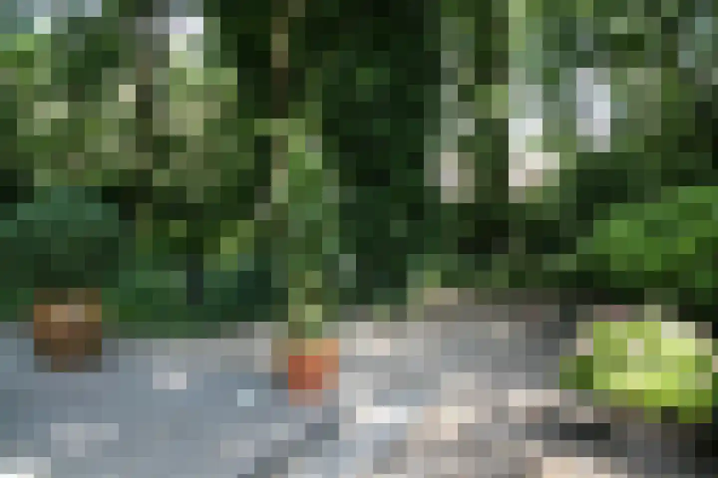 Tatralaan 11 Venray thumbnail 47