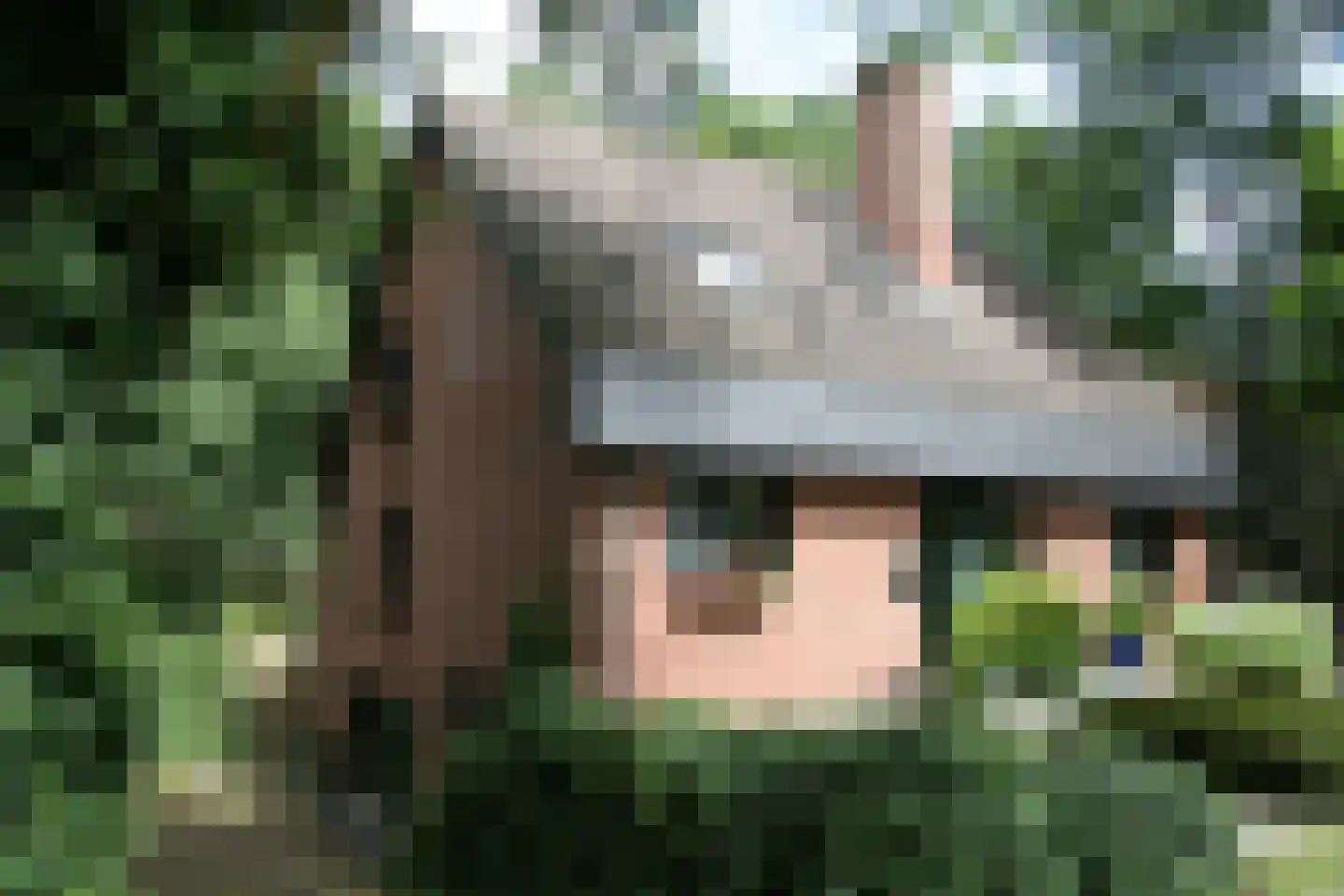 Tatralaan 11 Venray thumbnail 5