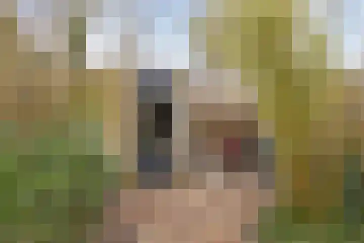 Taunus 10 Helmond thumbnail 21