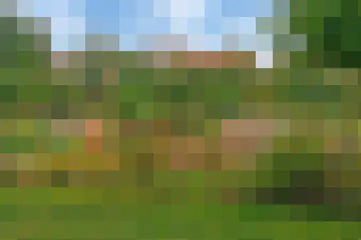 Taunus 5 Amersfoort thumbnail 40