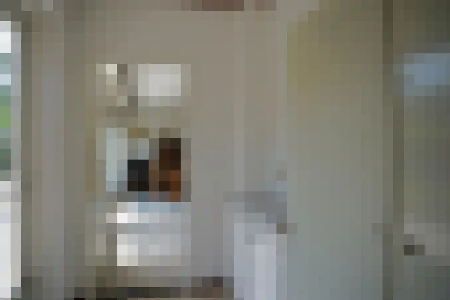 Taurus 2 Oostburg thumbnail 11