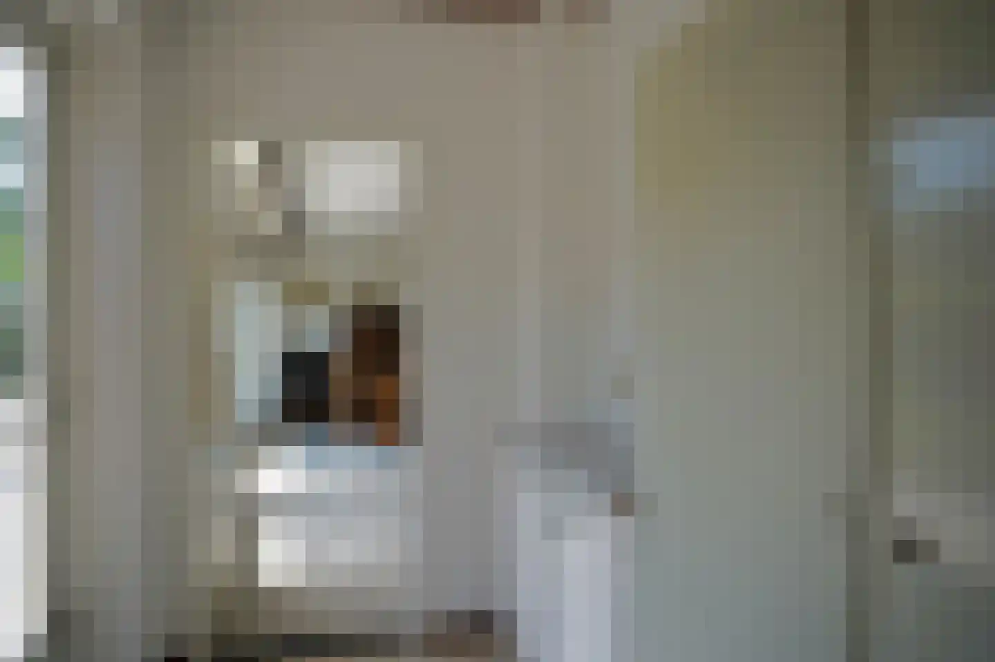 Taurus 2 Oostburg thumbnail 13
