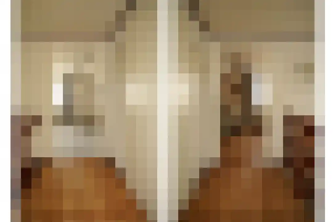 Taurus 2 Oostburg thumbnail 20