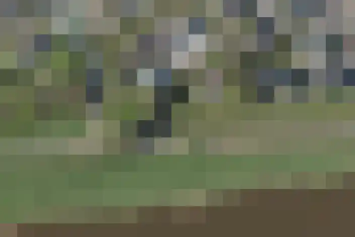 Taurus 2 Oostburg thumbnail 42