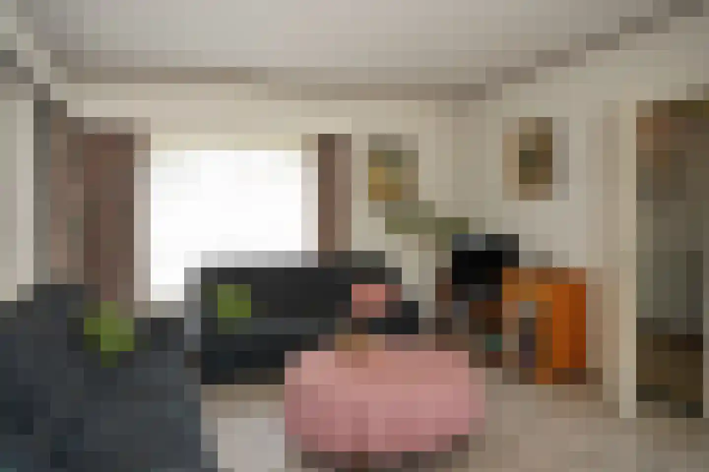 Taurus 2 Oostburg thumbnail 5
