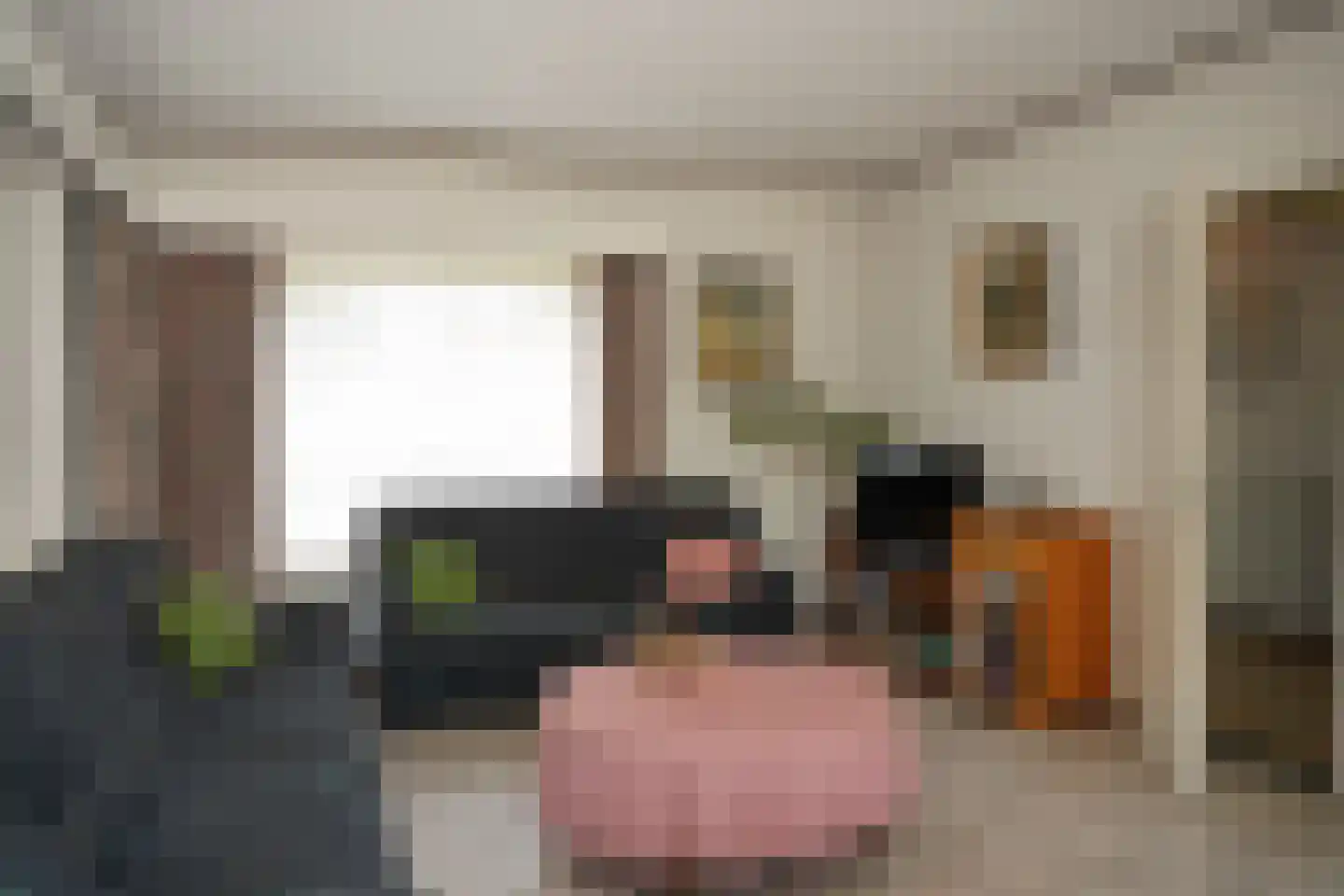 Taurus 2 Oostburg thumbnail 8