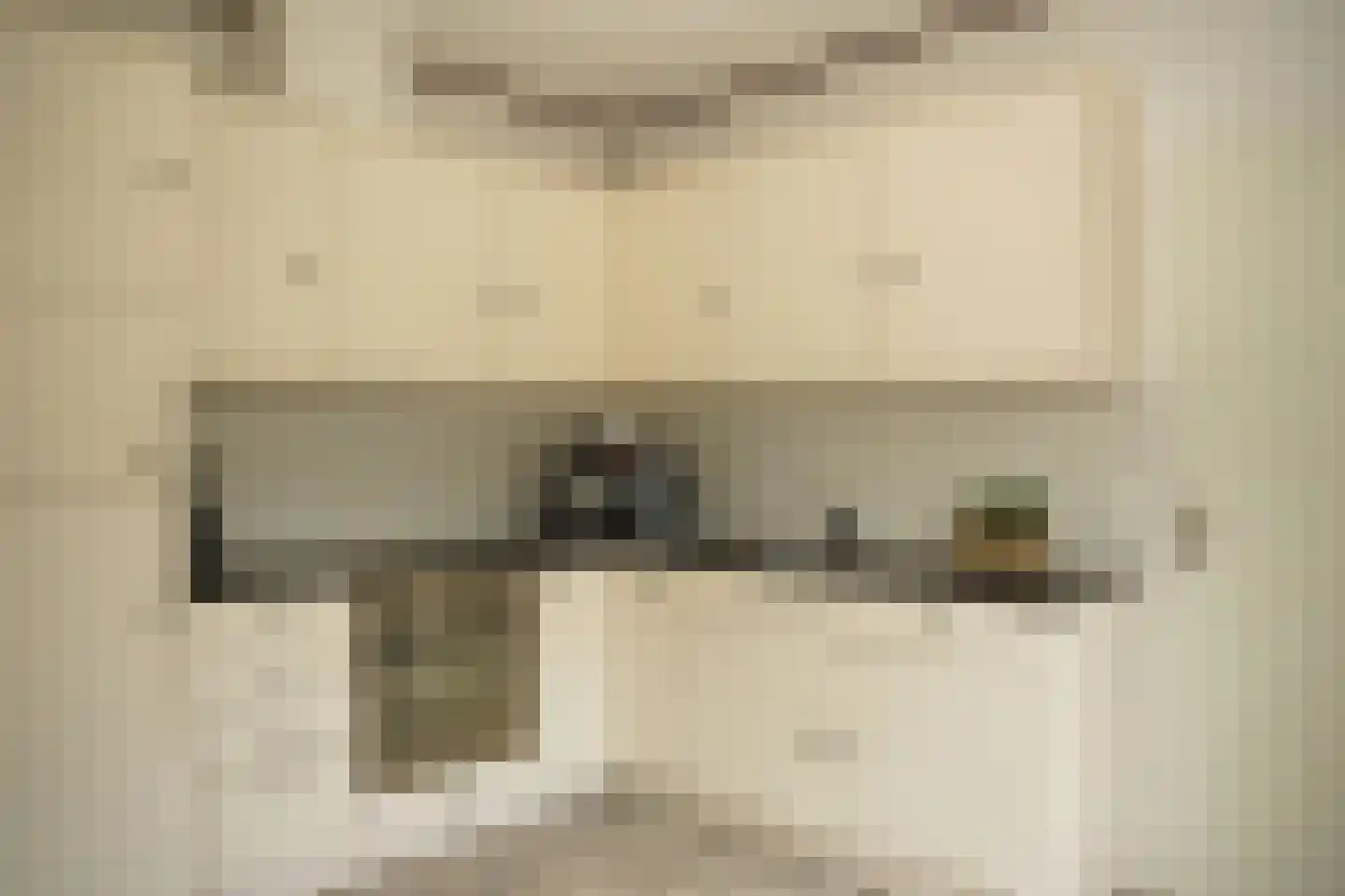 Taurus 2 Oostburg thumbnail 9