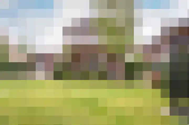 Tautenburg 22 Lelystad thumbnail 29