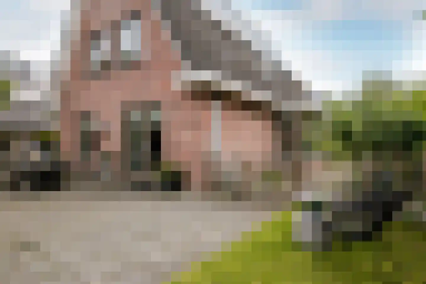 Tautenburg 30 Lelystad thumbnail 33