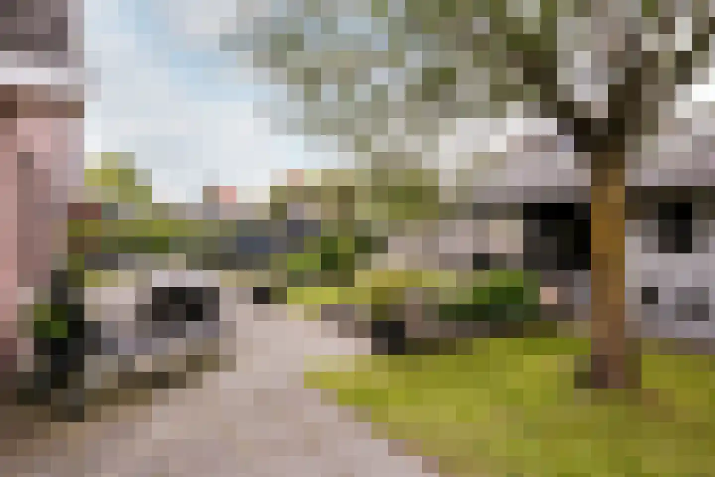 Tautenburg 30 Lelystad thumbnail 35