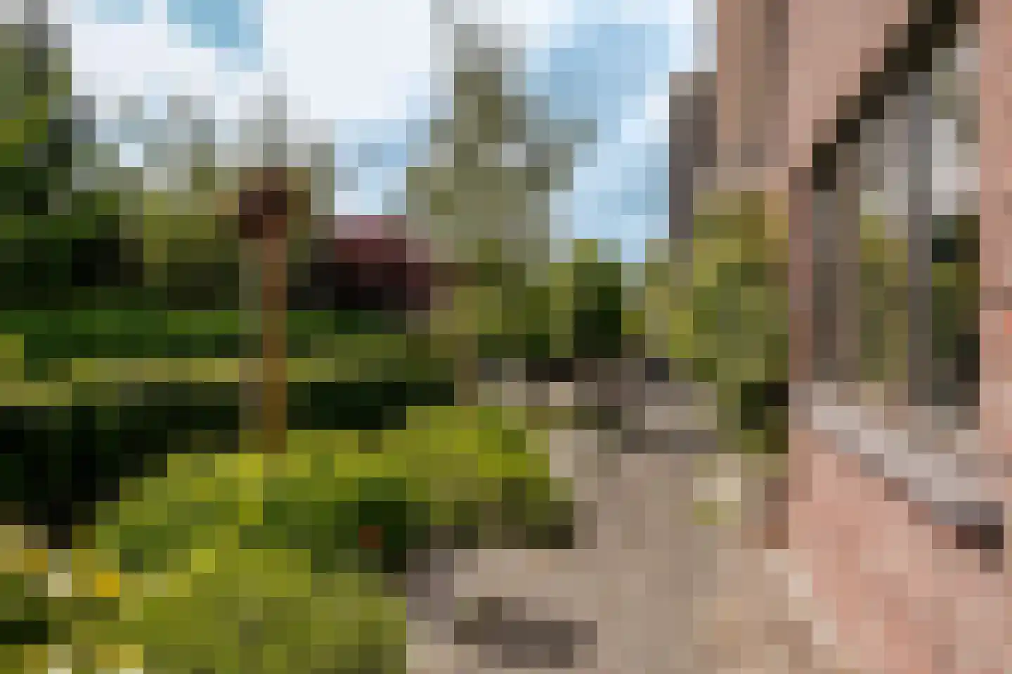 Tautenburg 30 Lelystad thumbnail 38