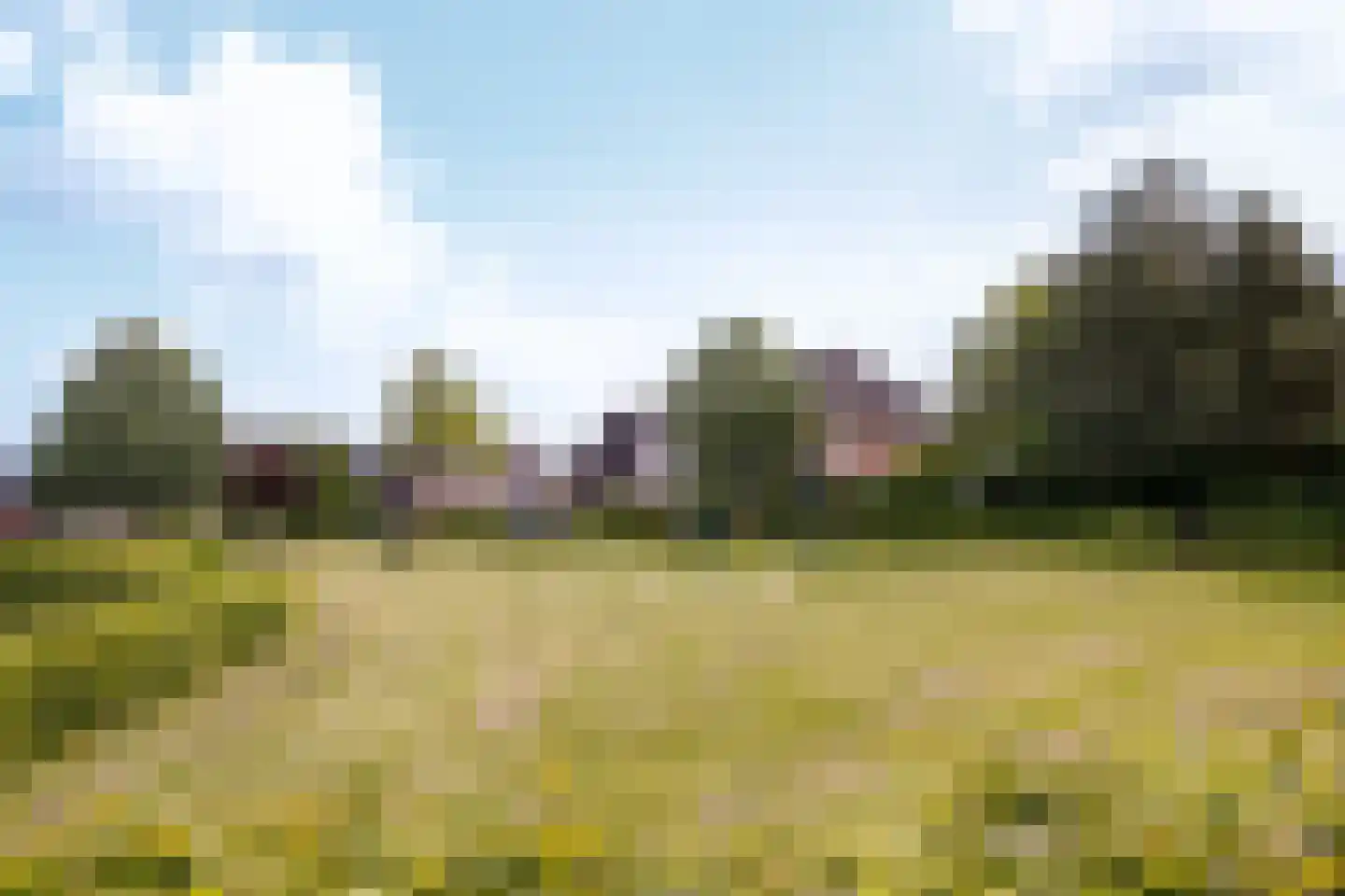 Tautenburg 30 Lelystad thumbnail 44