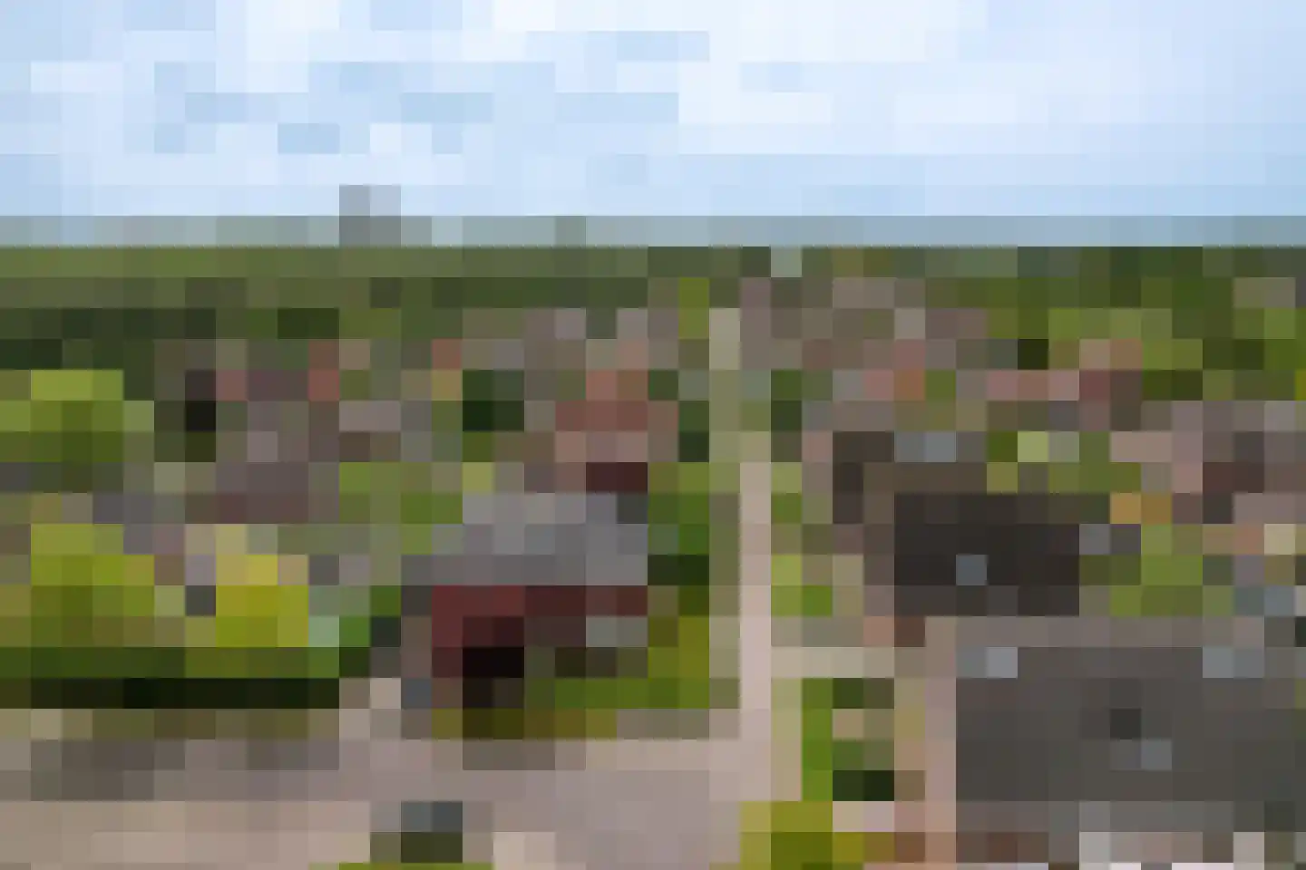 Tautenburg 30 Lelystad thumbnail 48
