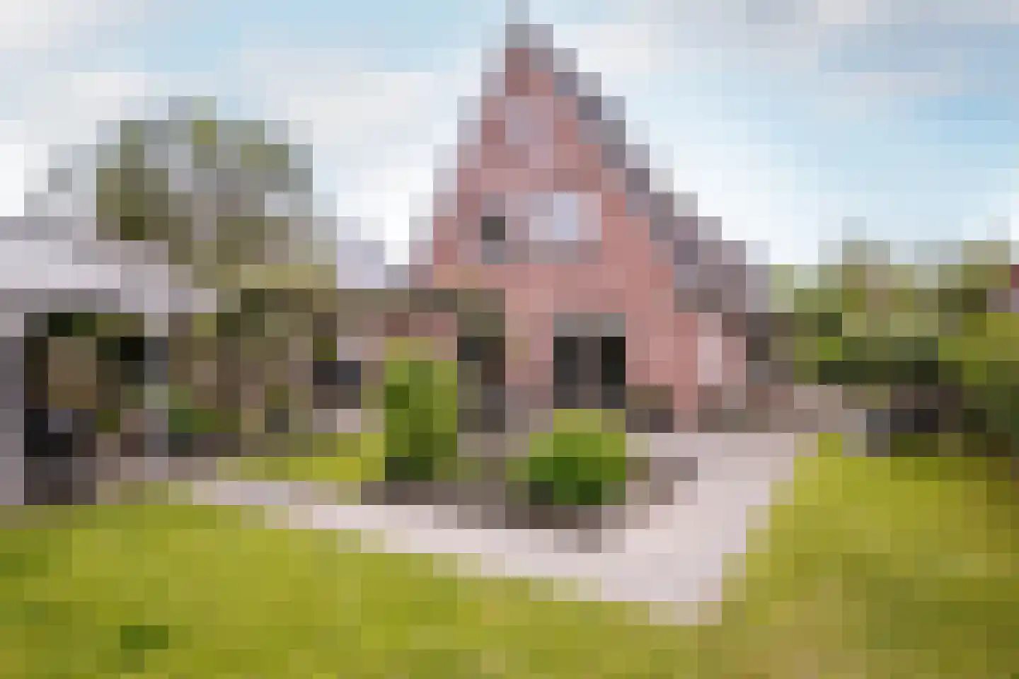 Tautenburg 30 Lelystad thumbnail 5
