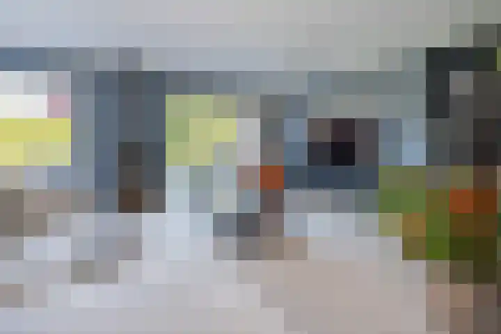 Tautenburg 44 Lelystad thumbnail 10