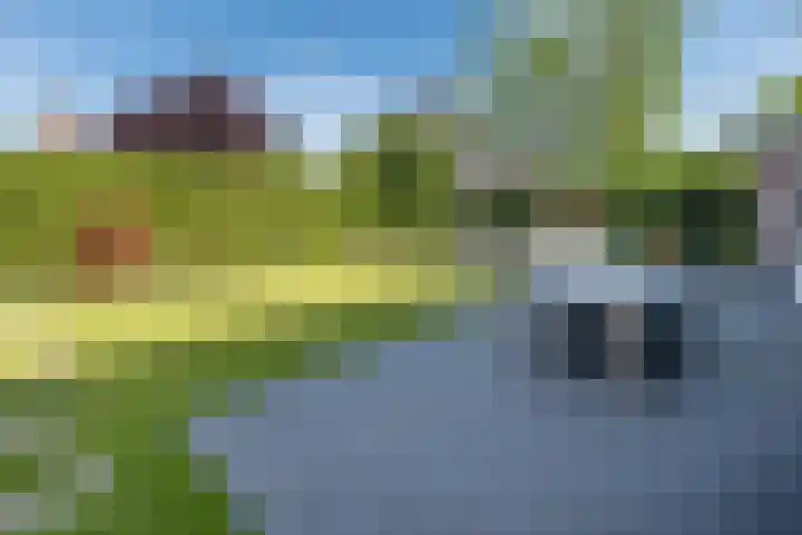 Tautenburg 44 Lelystad thumbnail 33