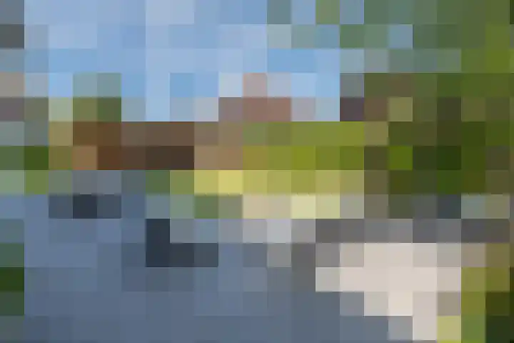 Tautenburg 44 Lelystad thumbnail 34
