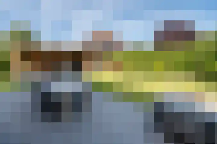 Tautenburg 44 Lelystad thumbnail 37