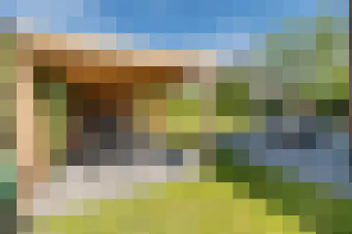 Tautenburg 44 Lelystad thumbnail 39