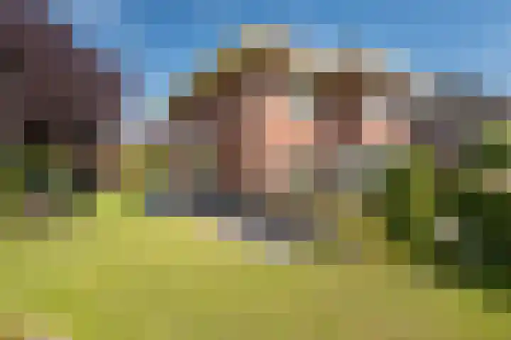 Tautenburg 44 Lelystad thumbnail 41