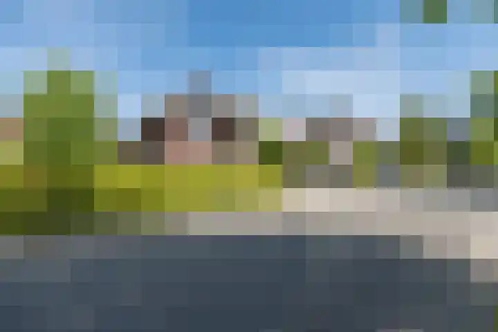 Tautenburg 44 Lelystad thumbnail 45