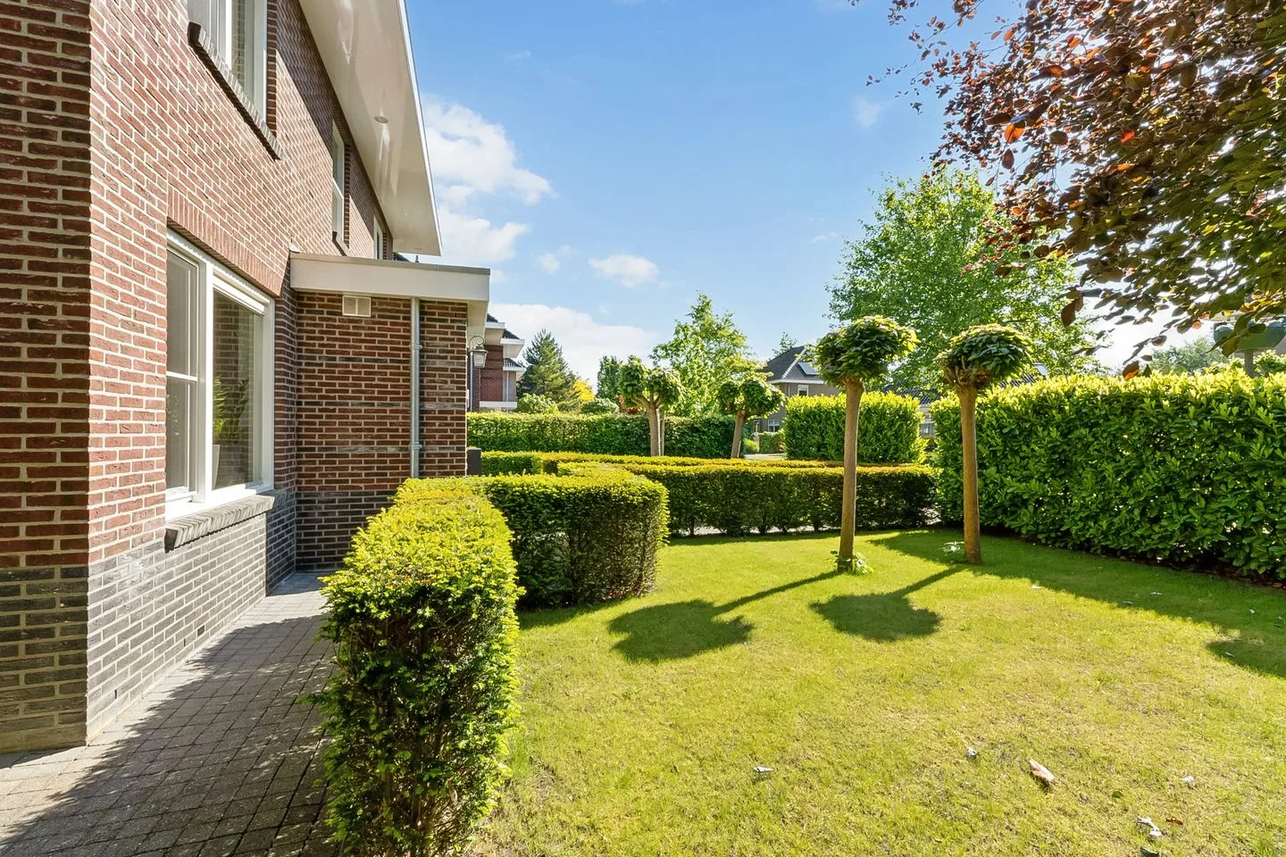 Tautenburg 46 Lelystad thumbnail 8
