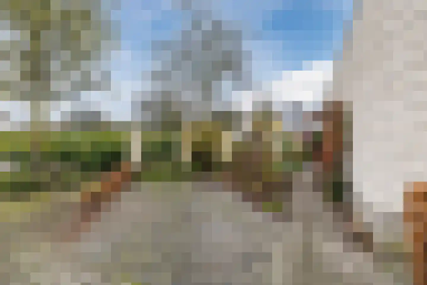 Tauvlinder 18 Meppel thumbnail 27