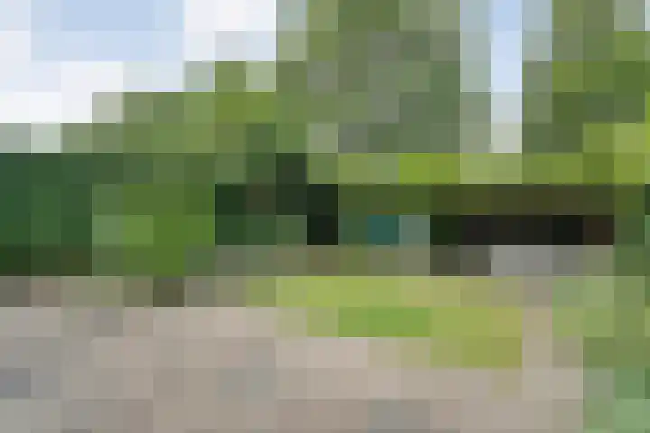 Tauvlinder 23 Meppel thumbnail 106