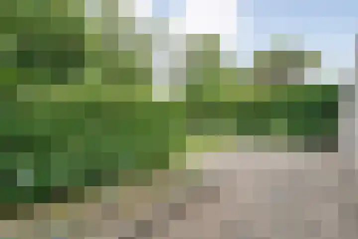 Tauvlinder 23 Meppel thumbnail 109