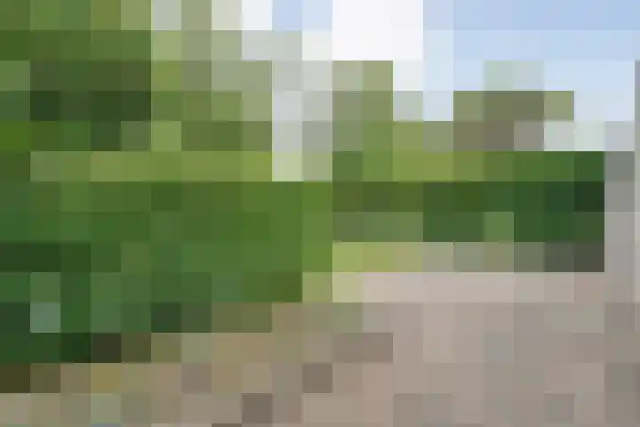 Tauvlinder 23 Meppel thumbnail 110