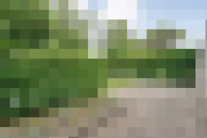 Tauvlinder 23 Meppel thumbnail 111