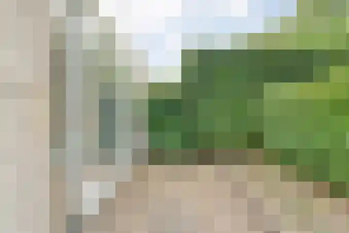 Tauvlinder 23 Meppel thumbnail 114