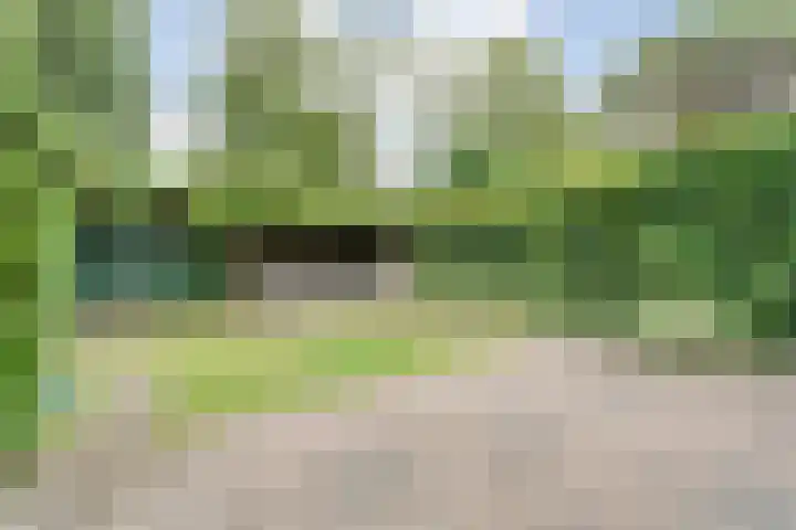 Tauvlinder 23 Meppel thumbnail 116