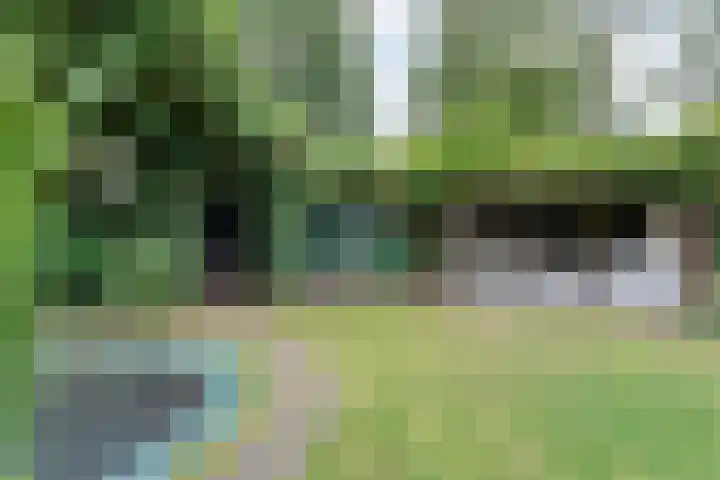 Tauvlinder 23 Meppel thumbnail 120