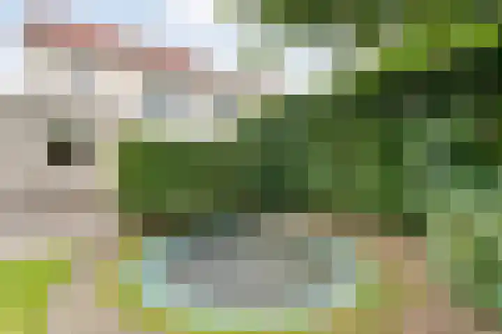 Tauvlinder 23 Meppel thumbnail 121