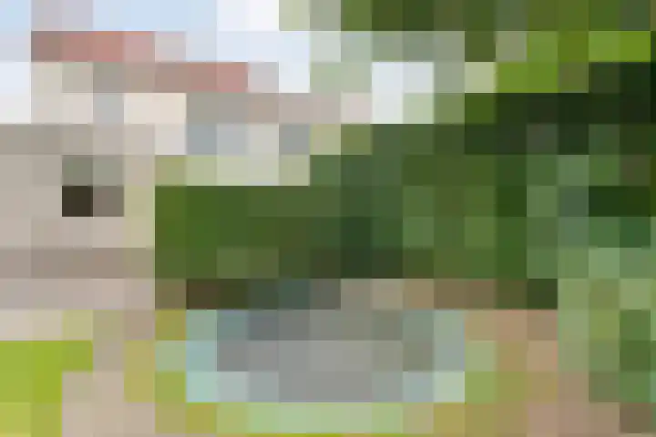 Tauvlinder 23 Meppel thumbnail 123