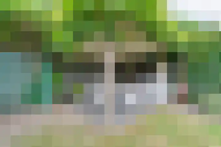Tauvlinder 23 Meppel thumbnail 126