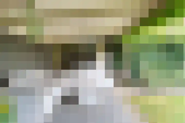 Tauvlinder 23 Meppel thumbnail 128