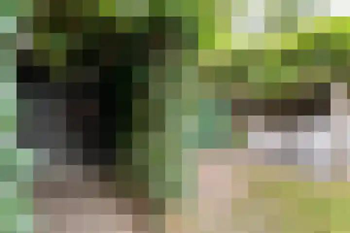 Tauvlinder 23 Meppel thumbnail 134