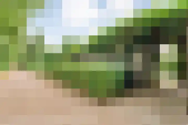 Tauvlinder 23 Meppel thumbnail 138
