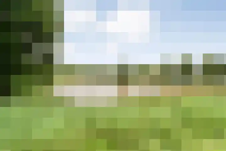 Tauvlinder 23 Meppel thumbnail 142