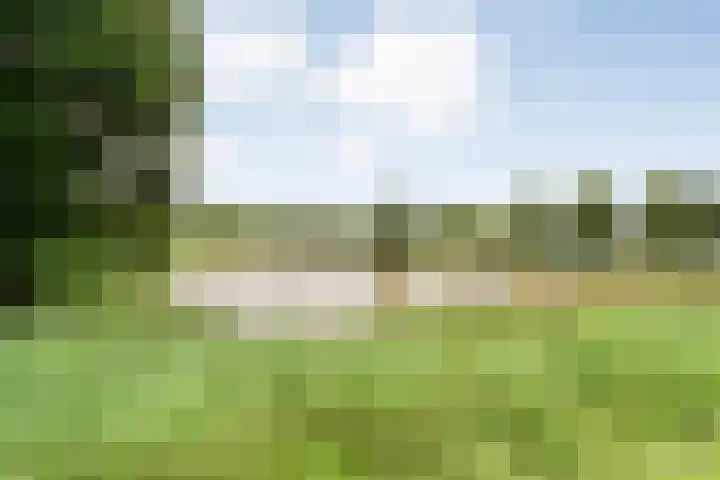 Tauvlinder 23 Meppel thumbnail 144